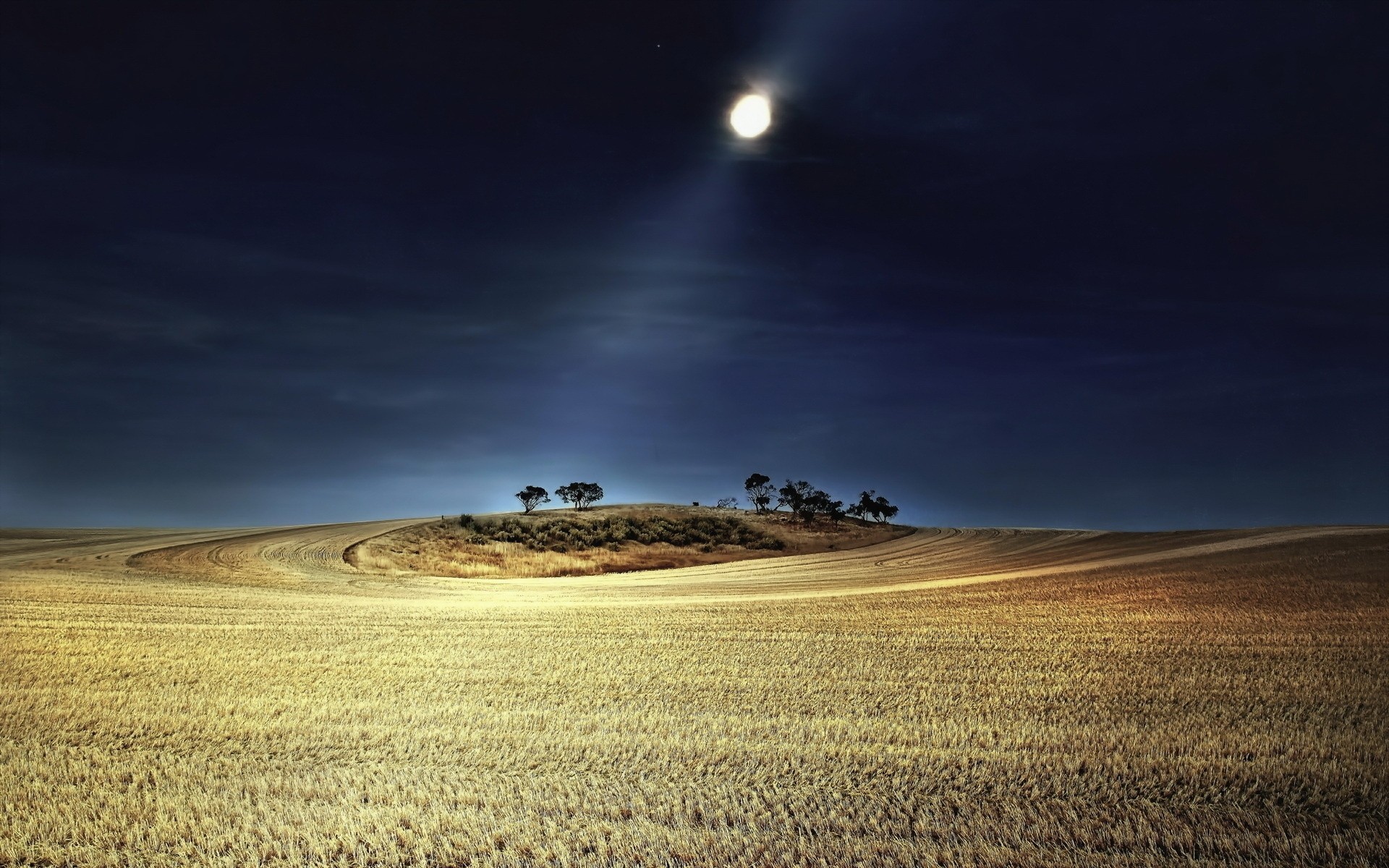 colline nuit lumière lune champ arbres