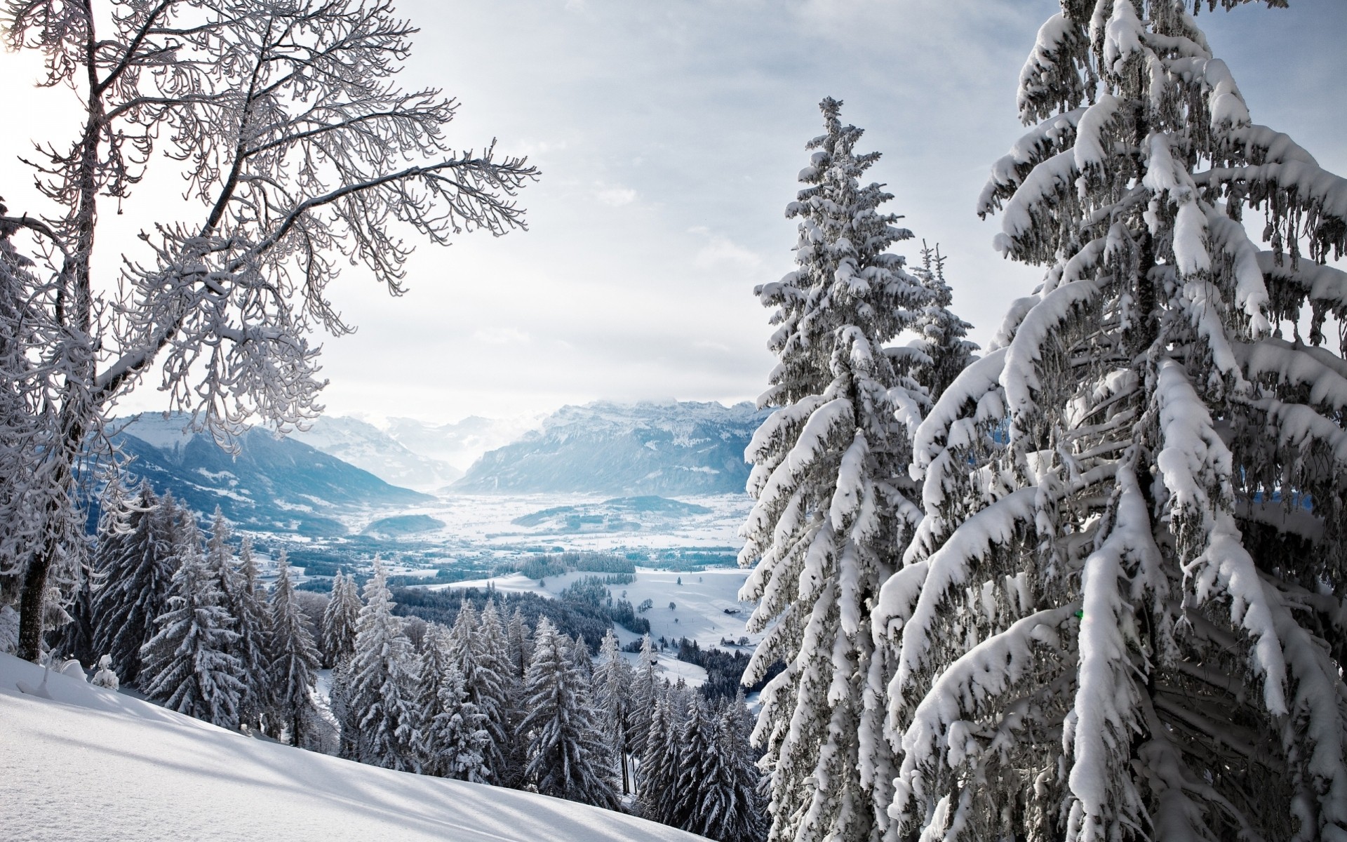 berge landschaft winter bäume horizont