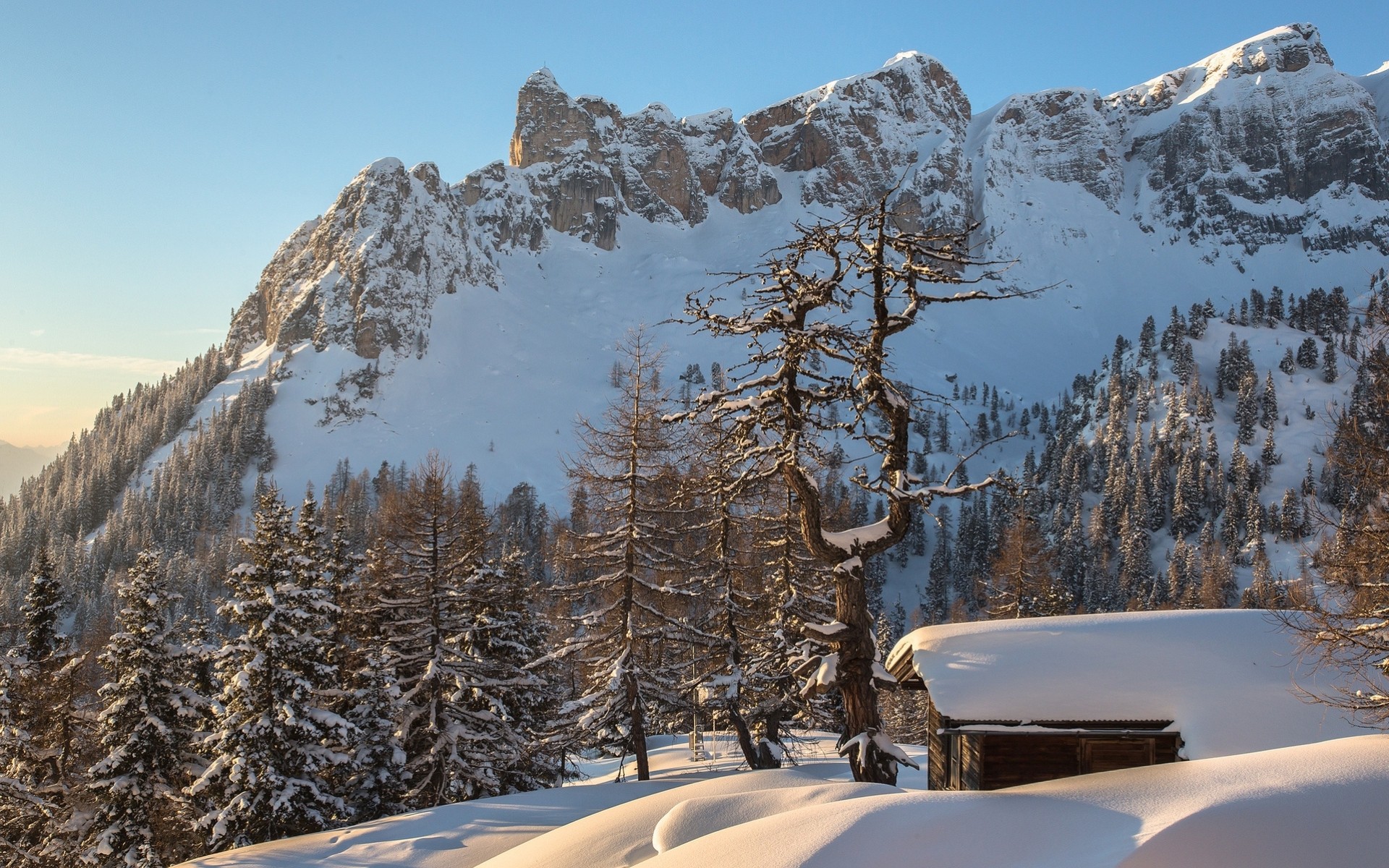 alpen wald schnee haus berge winter österreich