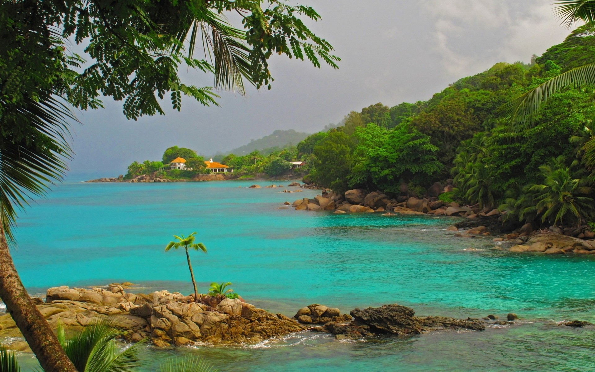 tones palm nature tropics island sea mountain