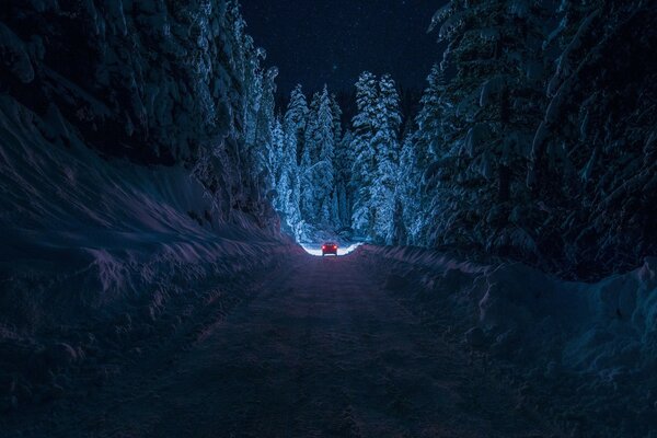 Winter forest in Bulgaria causes fear and tension