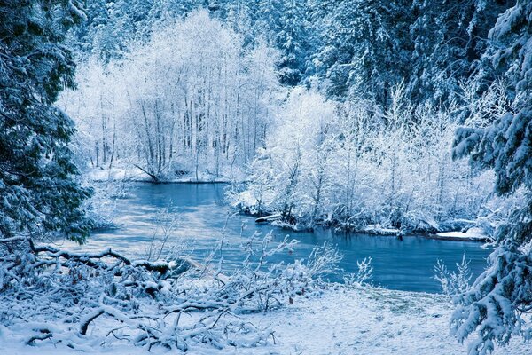 Fluss in einem schönen Winterwald