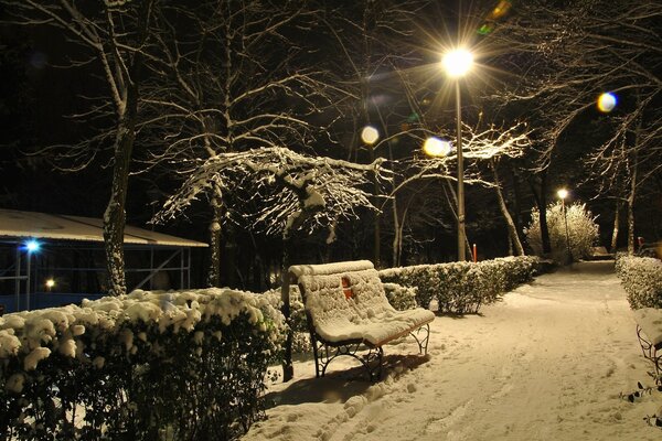 Parque de invierno iluminado por linternas