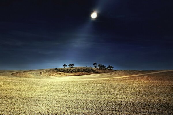 The light of the moon illuminates the fields at night