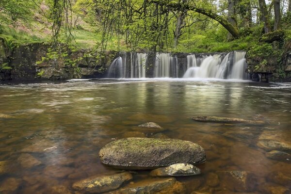 Une merveilleuse combinaison de verdure et d eau