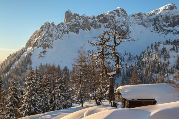 Альпийские зимние горы Австрия