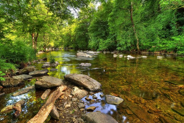 Landschaft mit Bäumen und Fluss