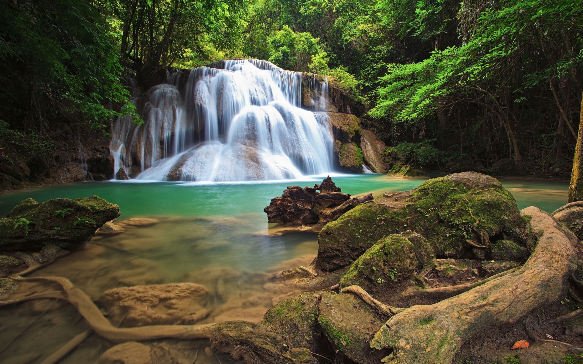 tones moss waterfall tree forest twilight