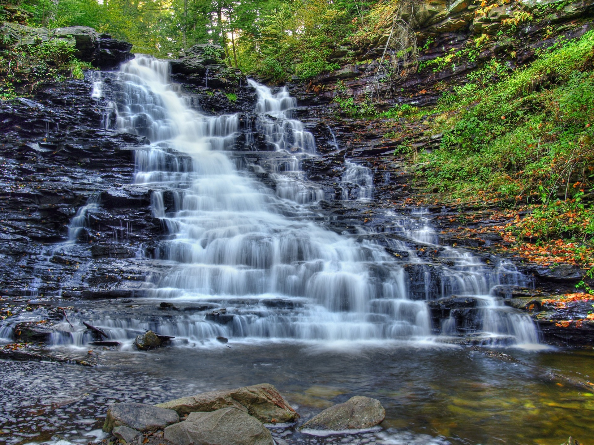 árboles río cascada cascada naturaleza