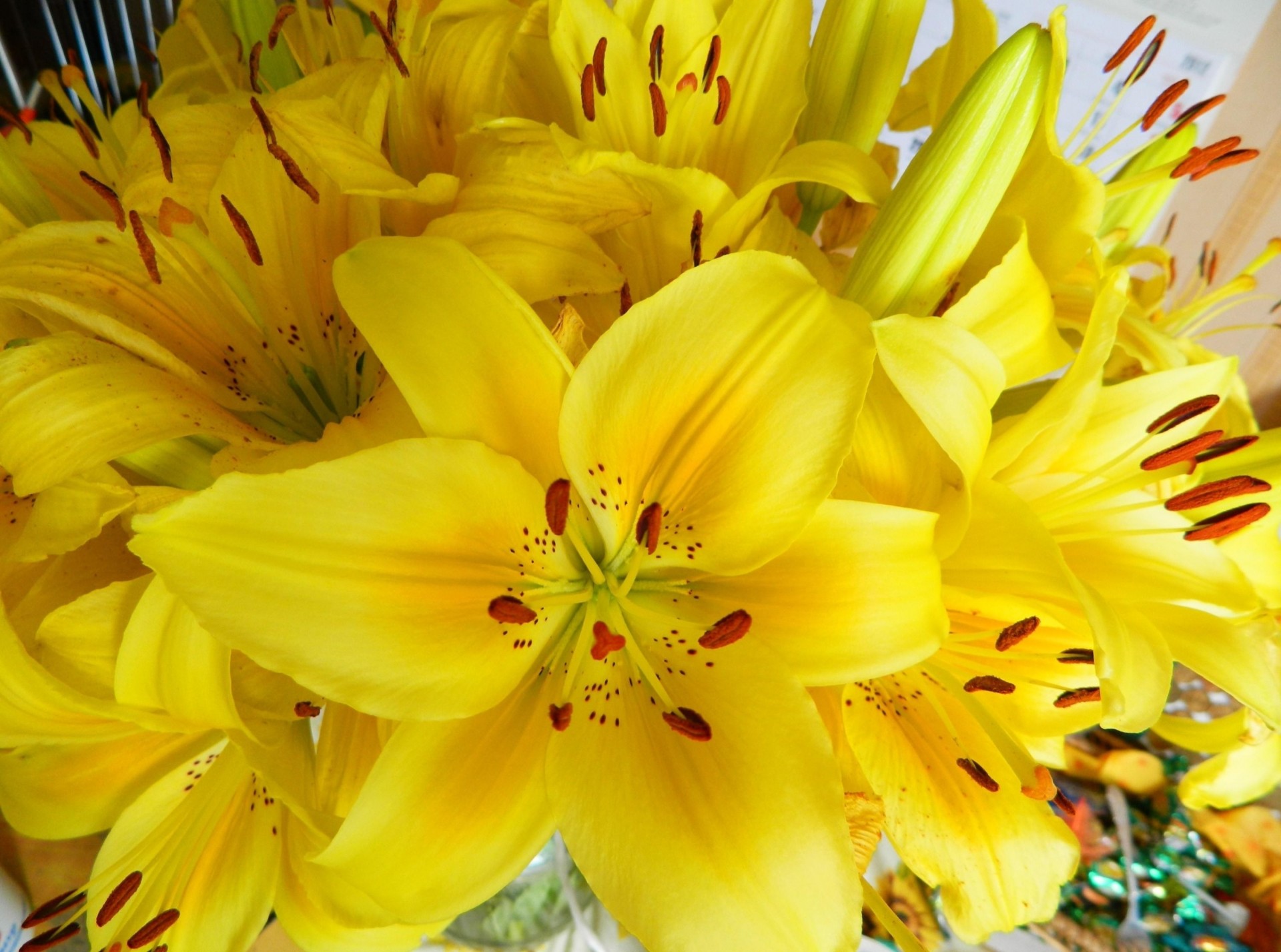 blumenstrauß staubblätter gelb blumen lilien hell