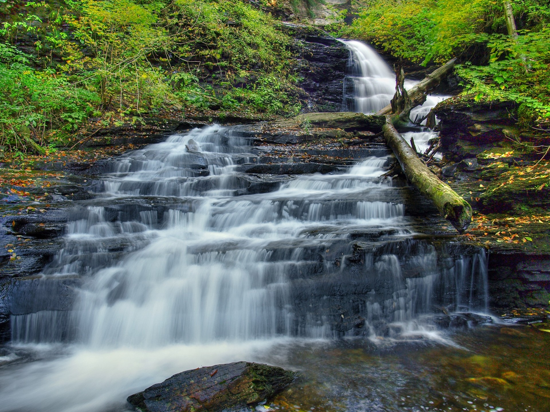 fiume natura cascata cascata alberi