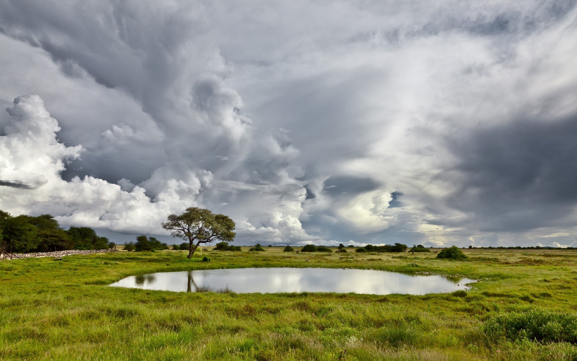 gras baum pool see volumen himmel wolken wiese bewölkt