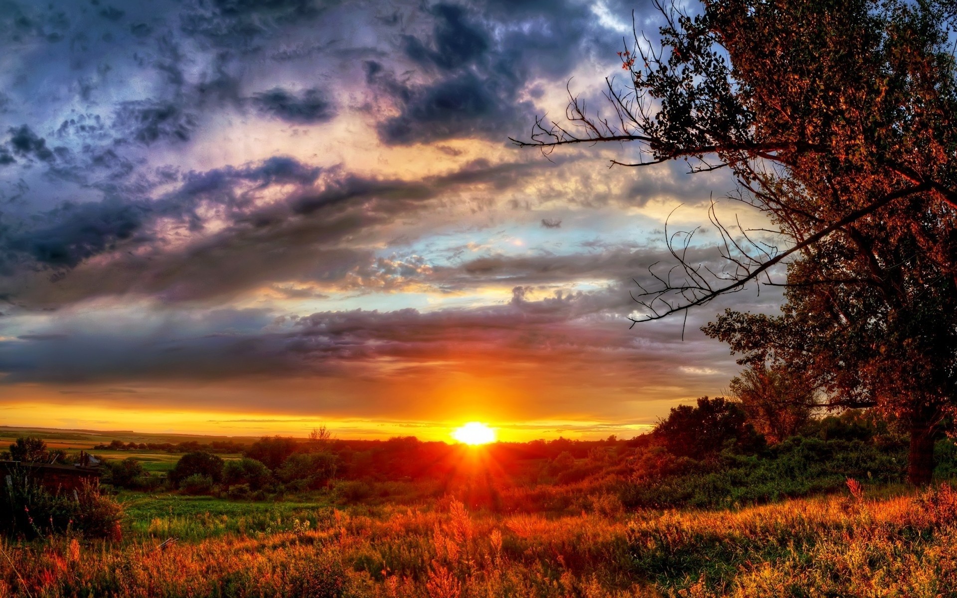 paisaje estaciones puesta de sol nubes árboles sol cielo otoño horizonte