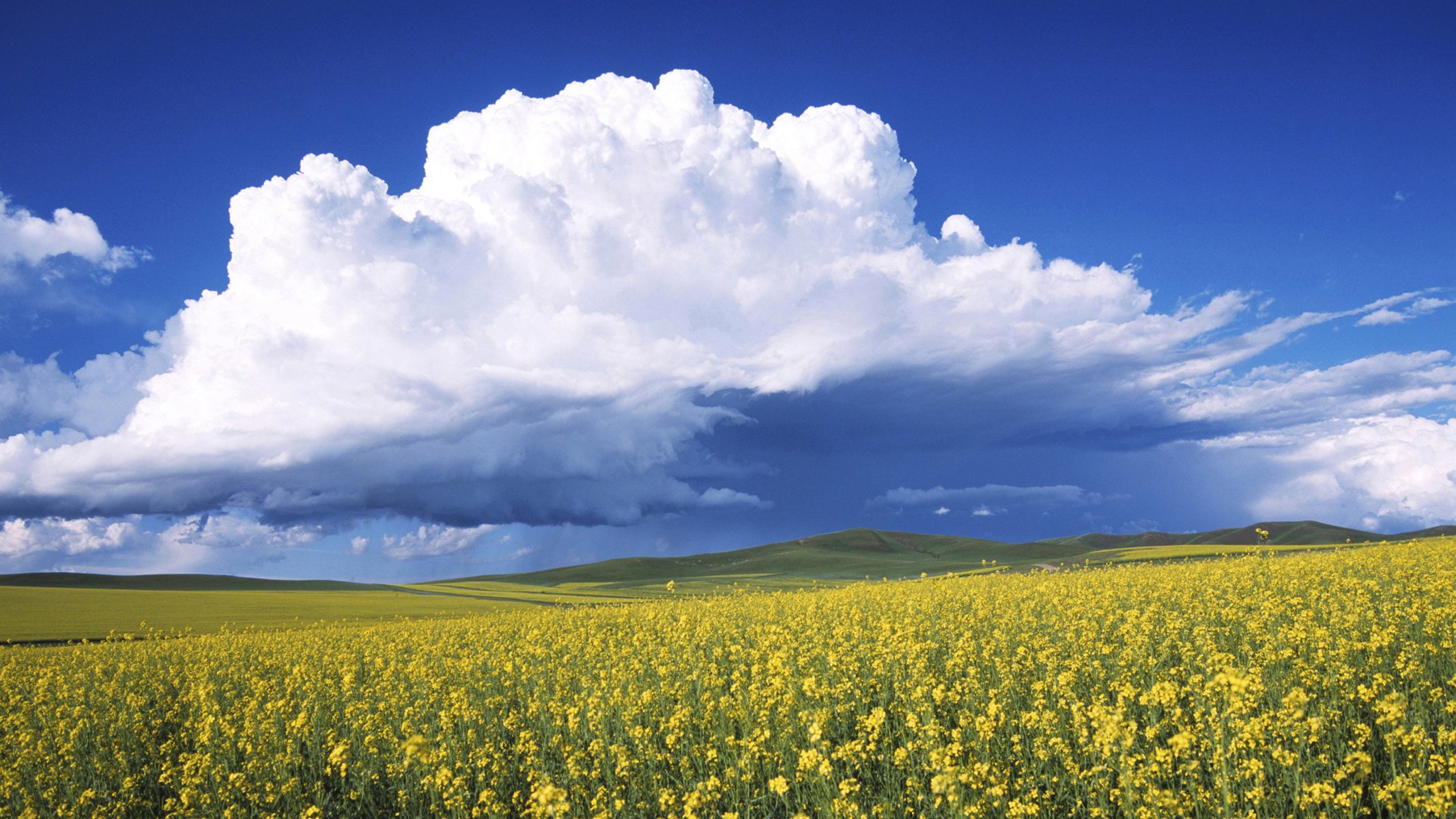 campo cielo nubes