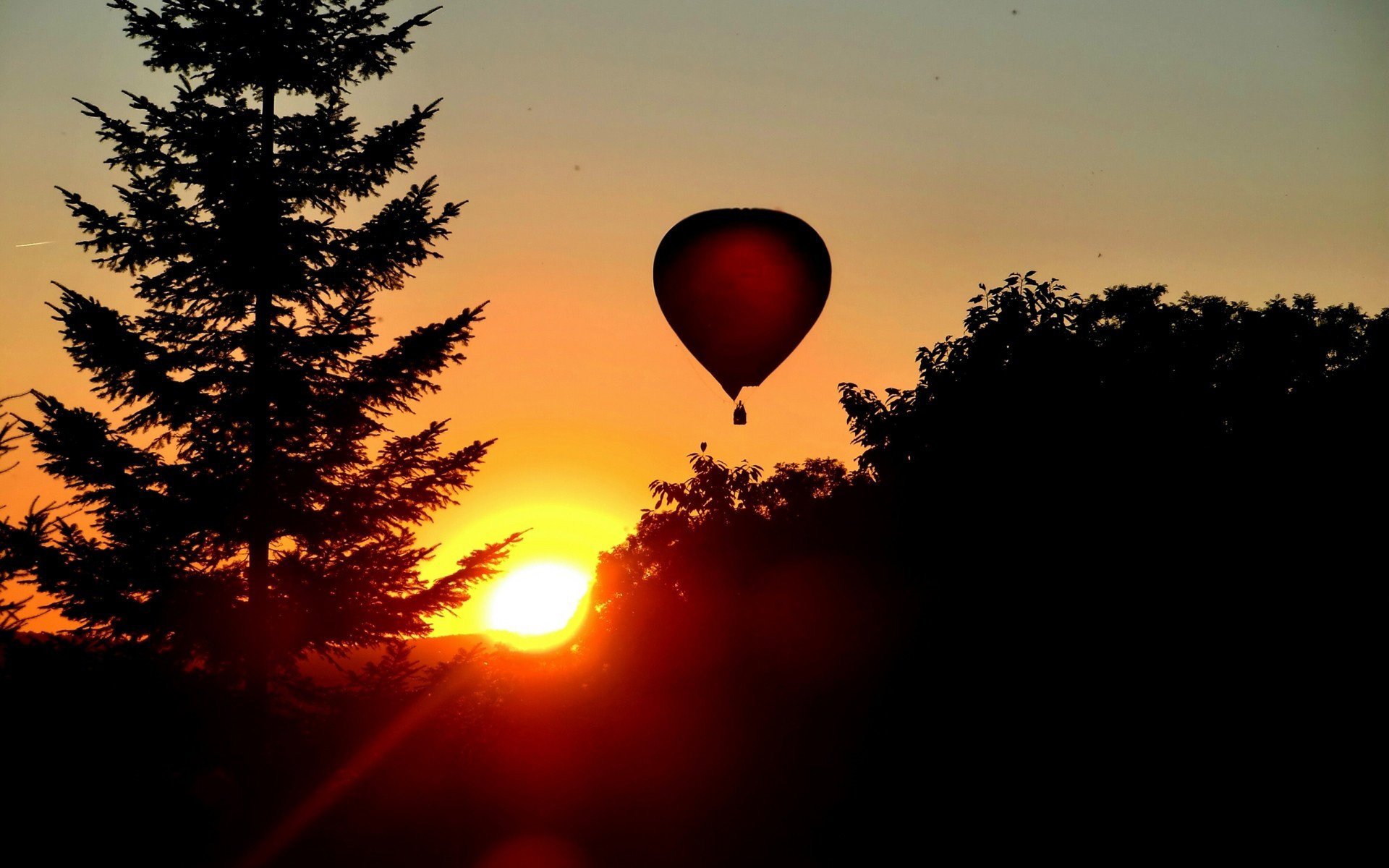 palloncino foresta cielo sagome alba alberi