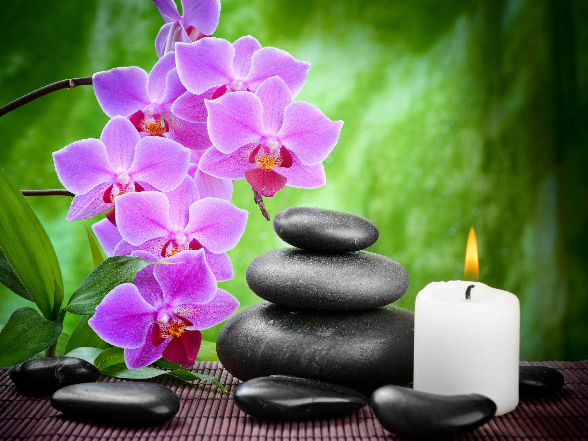 tones spa candles massage black flower bamboo flowers orchid