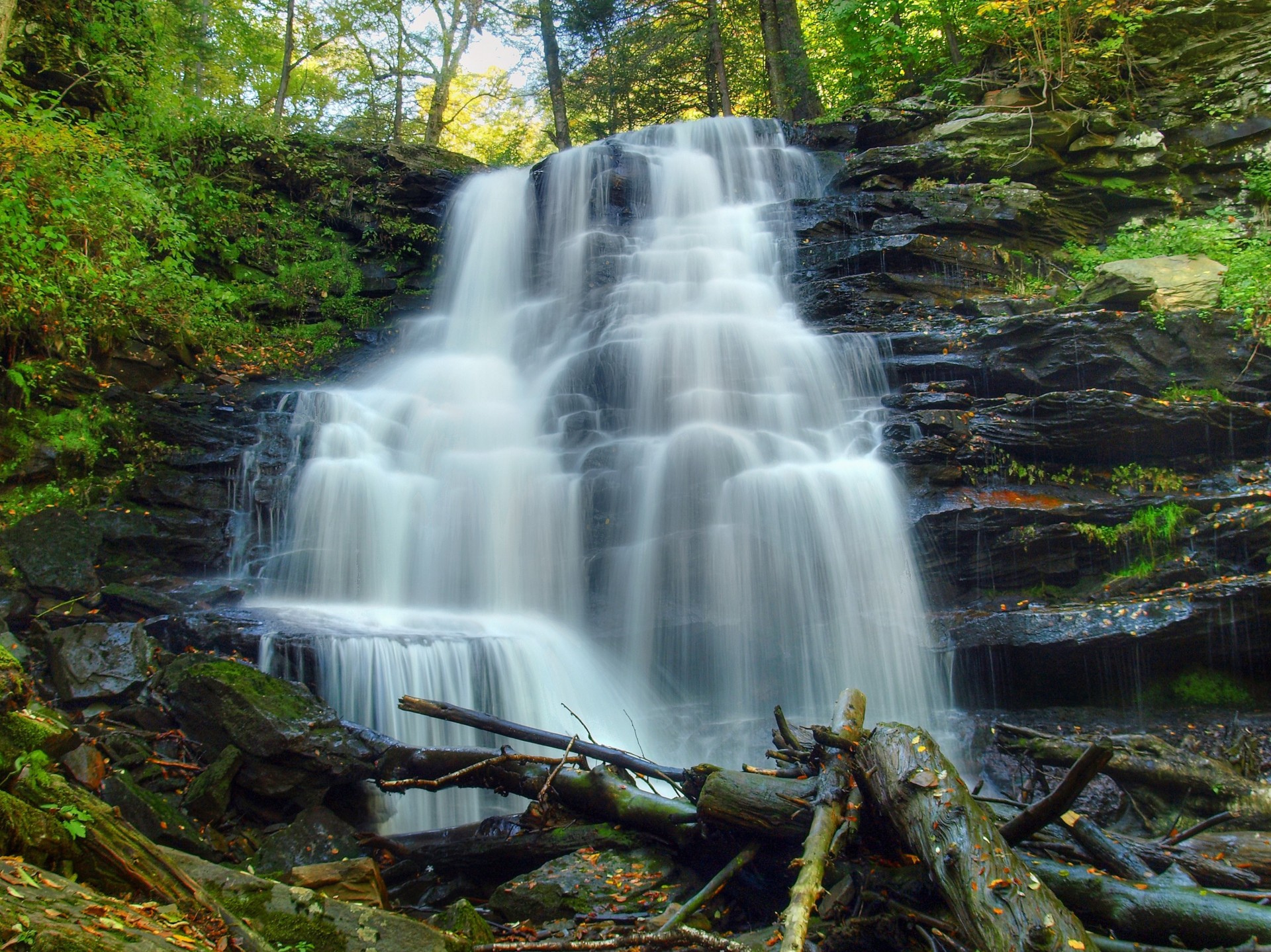 arbres cascade rochers nature