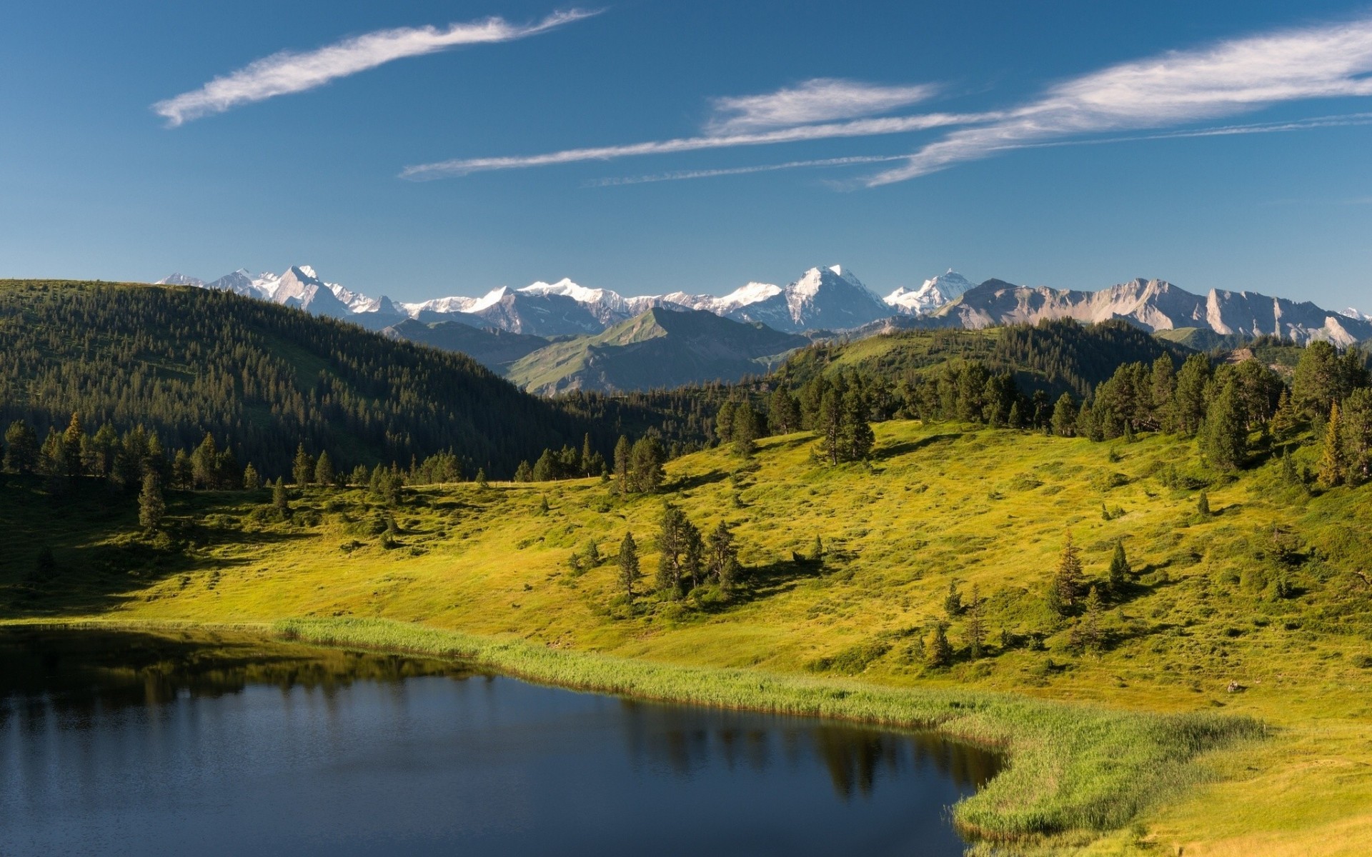 entlebuch switzerland lake alps forest mountain tree