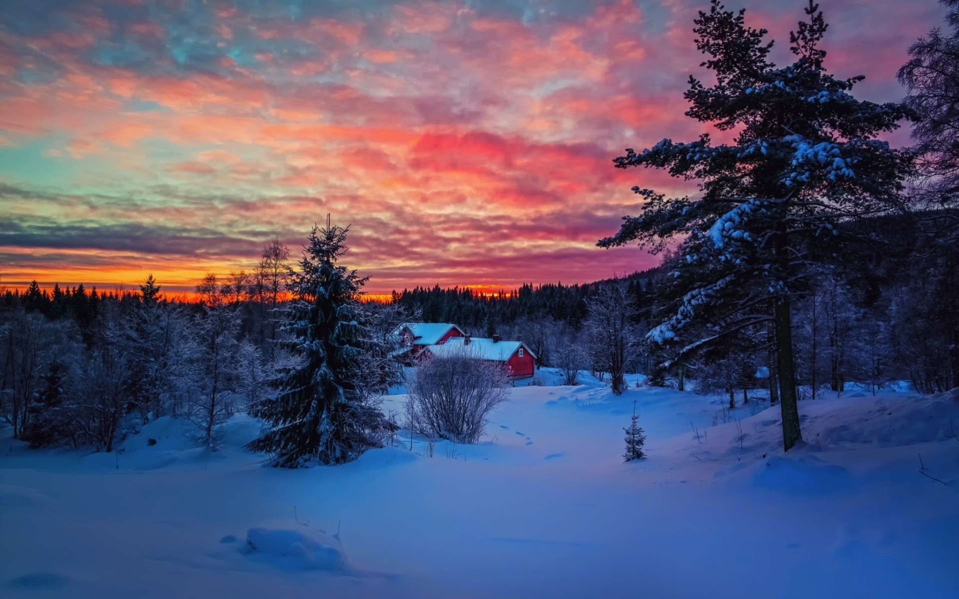 landscape darkness sunset tree forest house sky snow winter