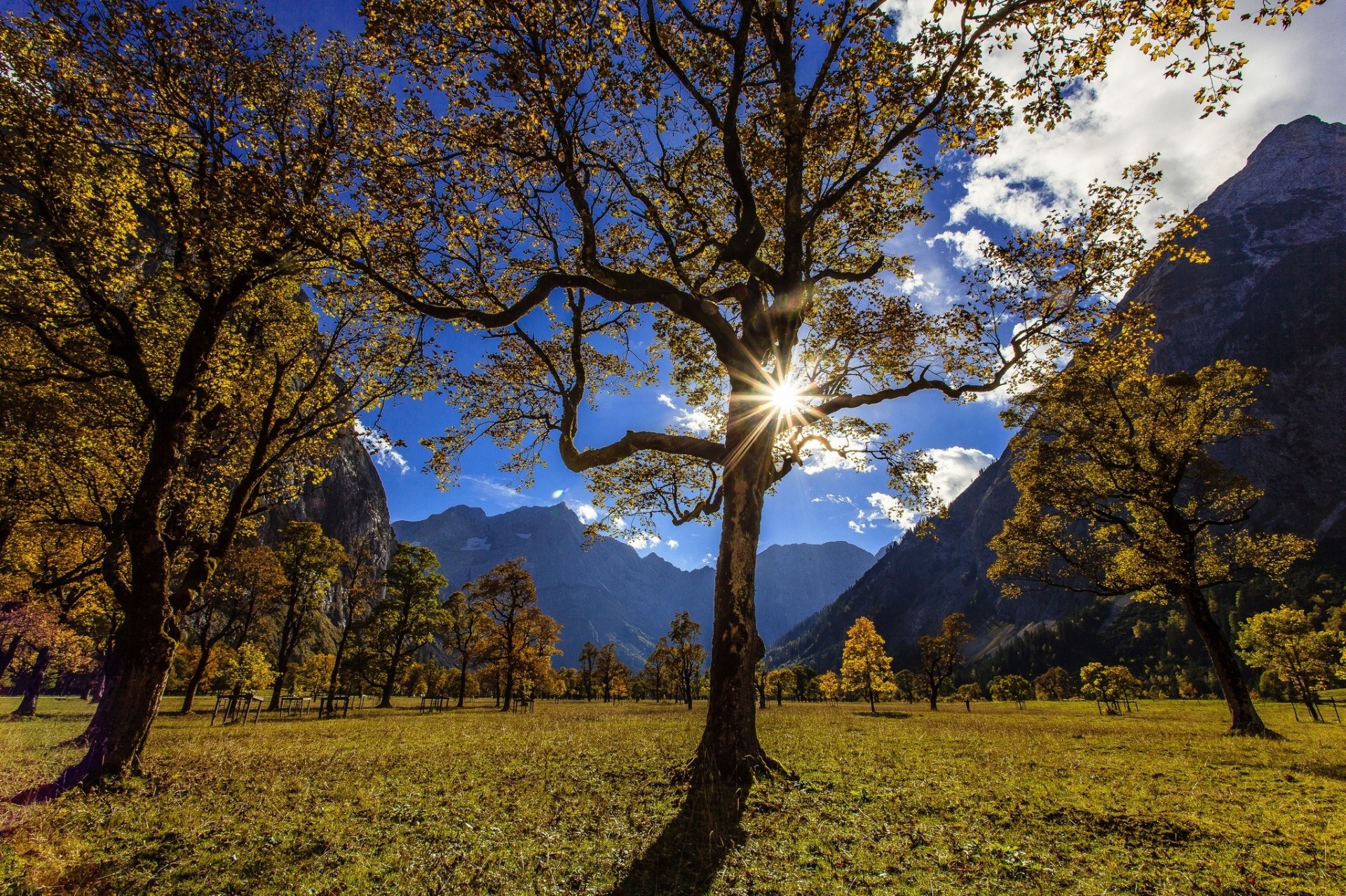 ahornboden karwendel karwendelgebirge tal bäume hallstatt berge österreich