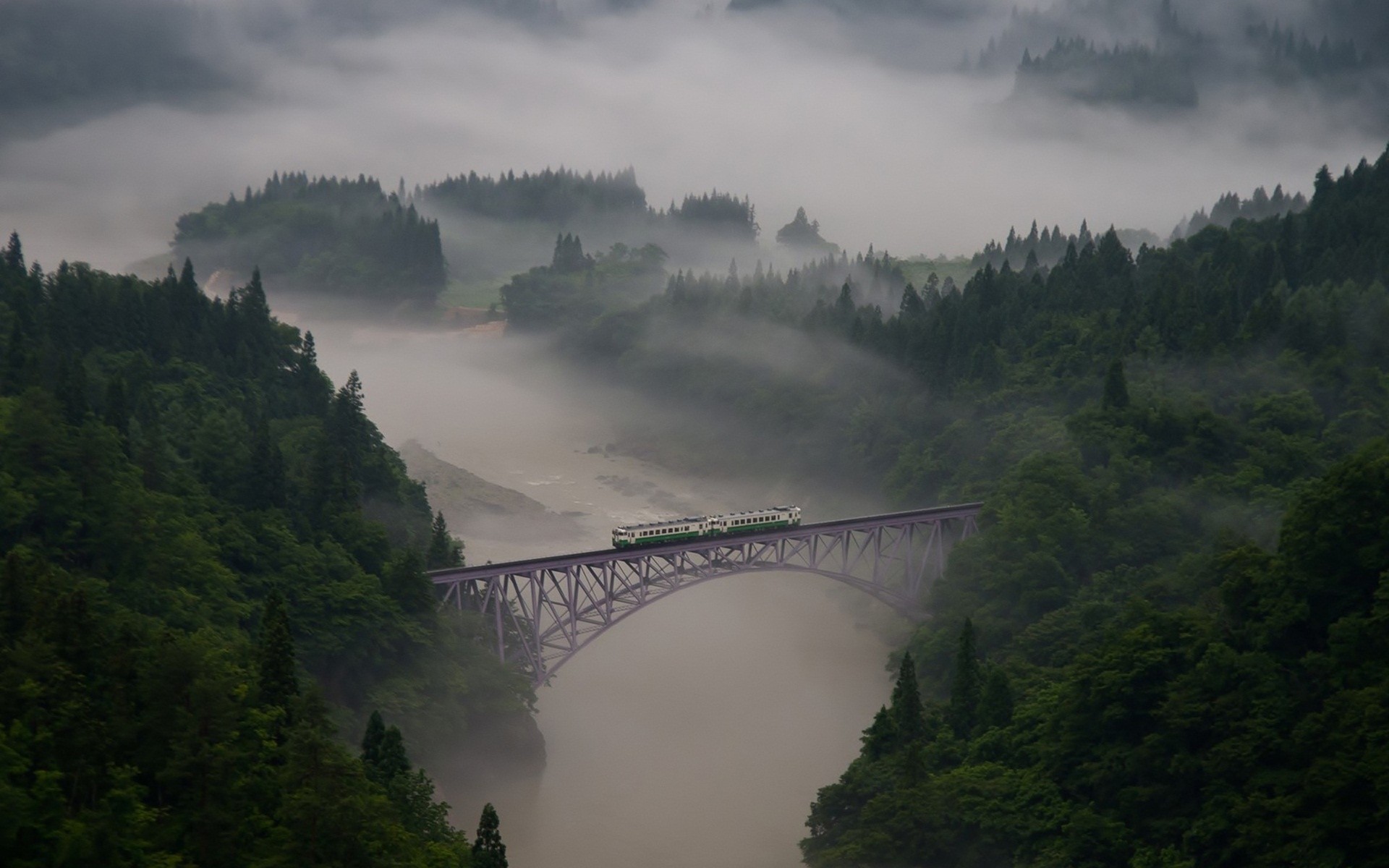 forêt pont brouillard train