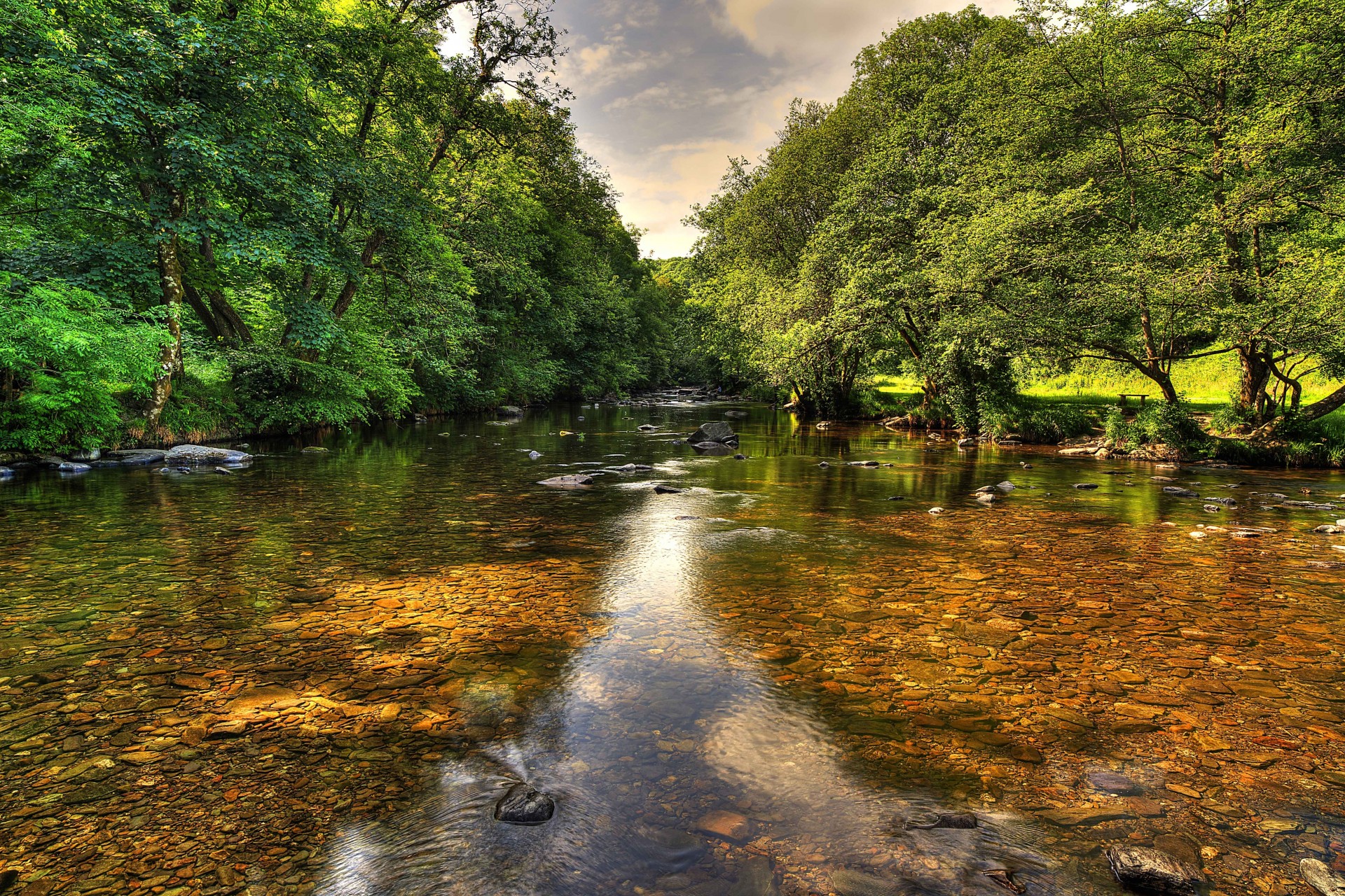 árboles paisaje río