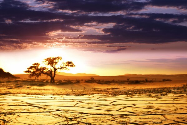 Savana africana, terra incrinata dalla siccità