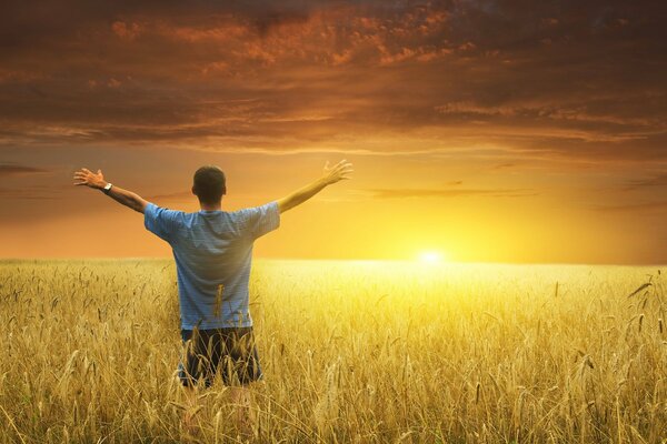 Ein Mann auf dem Hintergrund eines Weizenfeldes in den Strahlen der goldenen Sonne