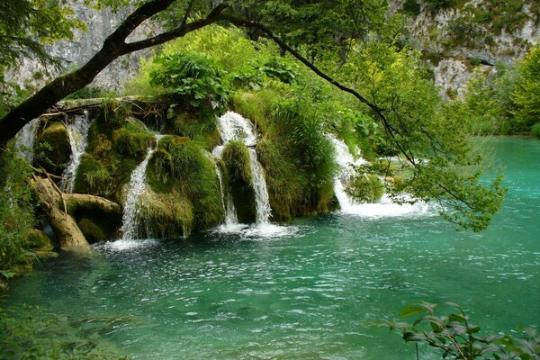 A river with small waterfalls and trees