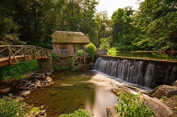 A tropical paradise. The tranquility of water