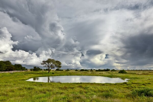 Not a big lonely lake in cloudy weather