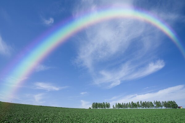 Cielo despejado con vista de arco iris desde abajo