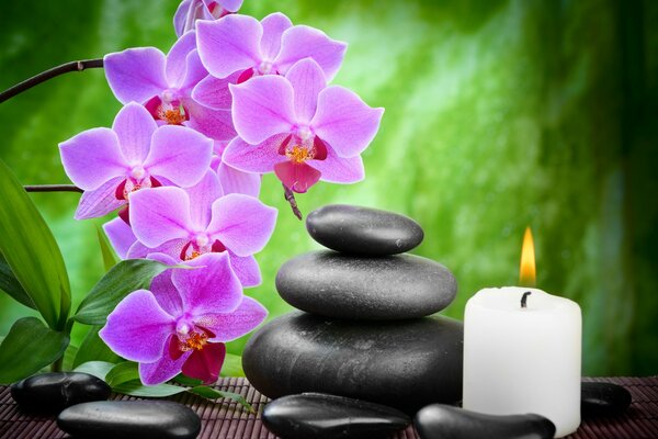 Au spa bougies, pierres noires et fleurs