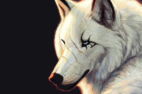 Graphic white wolf with blue eyes