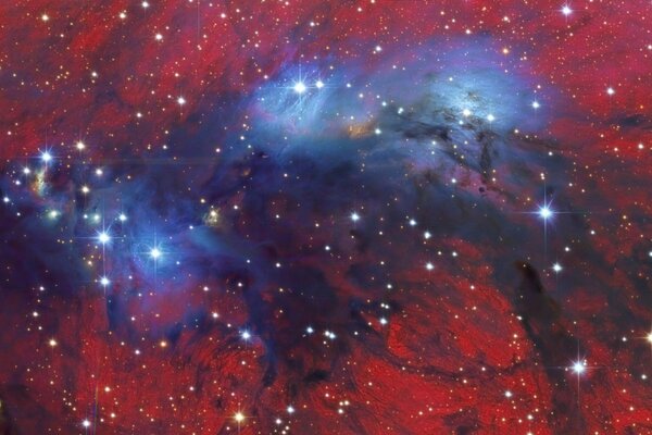 Cosmos hermosa vista de la Constelación del cisne