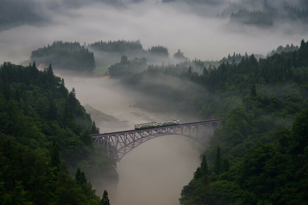 Поезд едет по мосту над туманный лесом