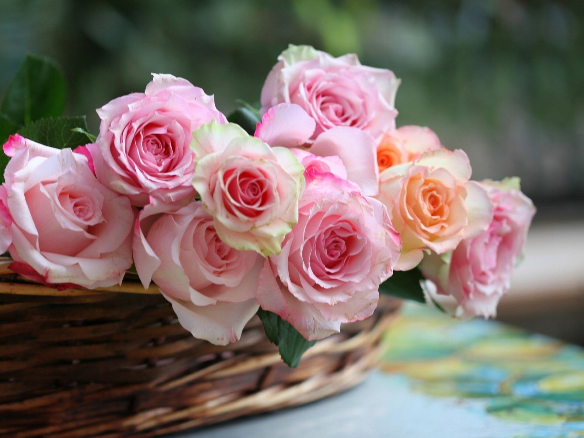 roses buds basket c elena di guardo