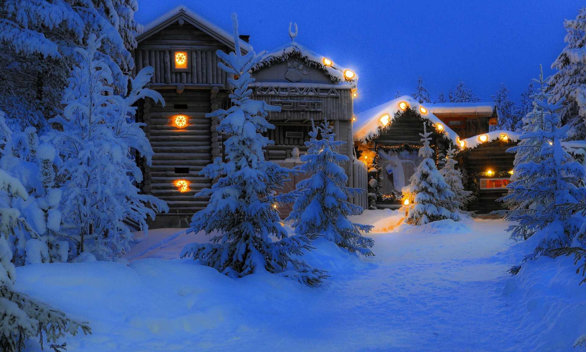 lapponia finlandia notte alberi neve case