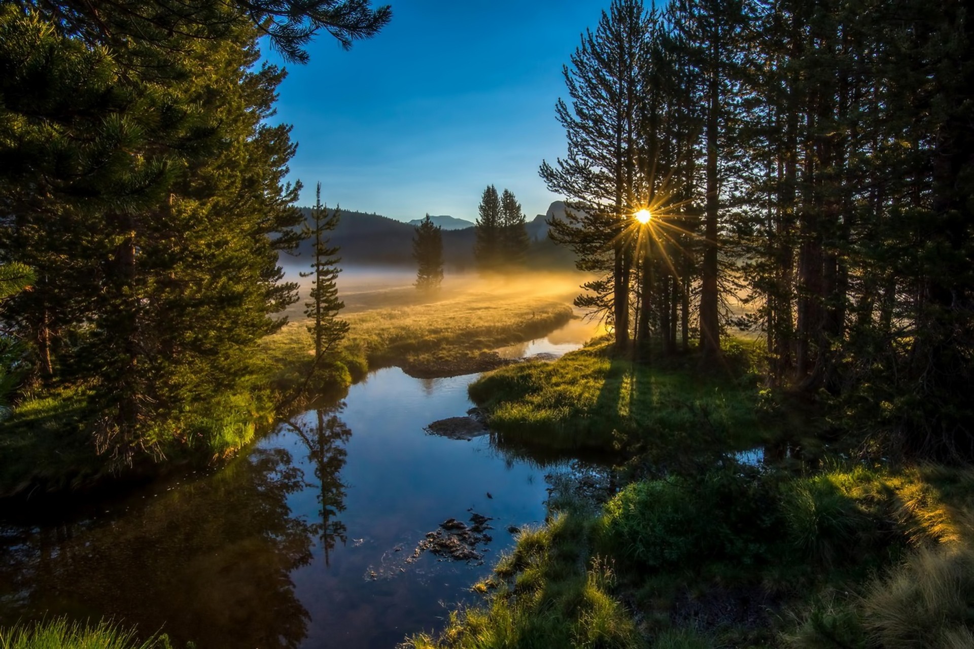 parco nazionale di yosemite paesaggio fiume alberi nebbia sole stati uniti california