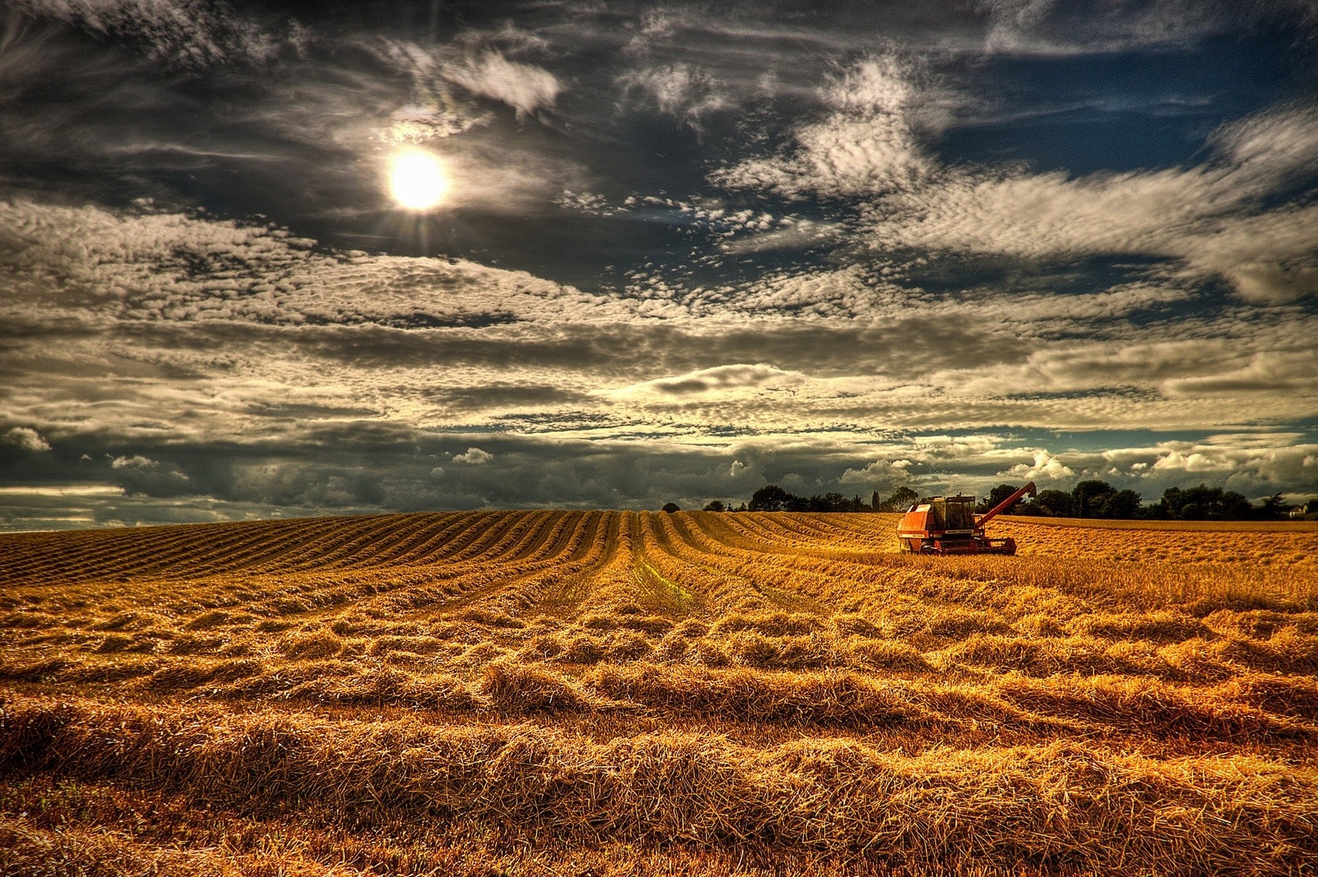 cosecha inglaterra campo irlanda del norte cosechadora