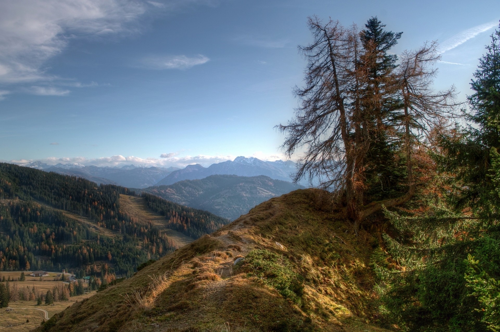 ciel montagnes arbres nature