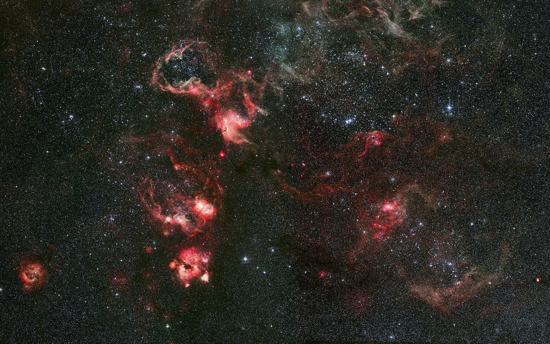 poisson rouge tarentule constellation ngc 2070 nébuleuse