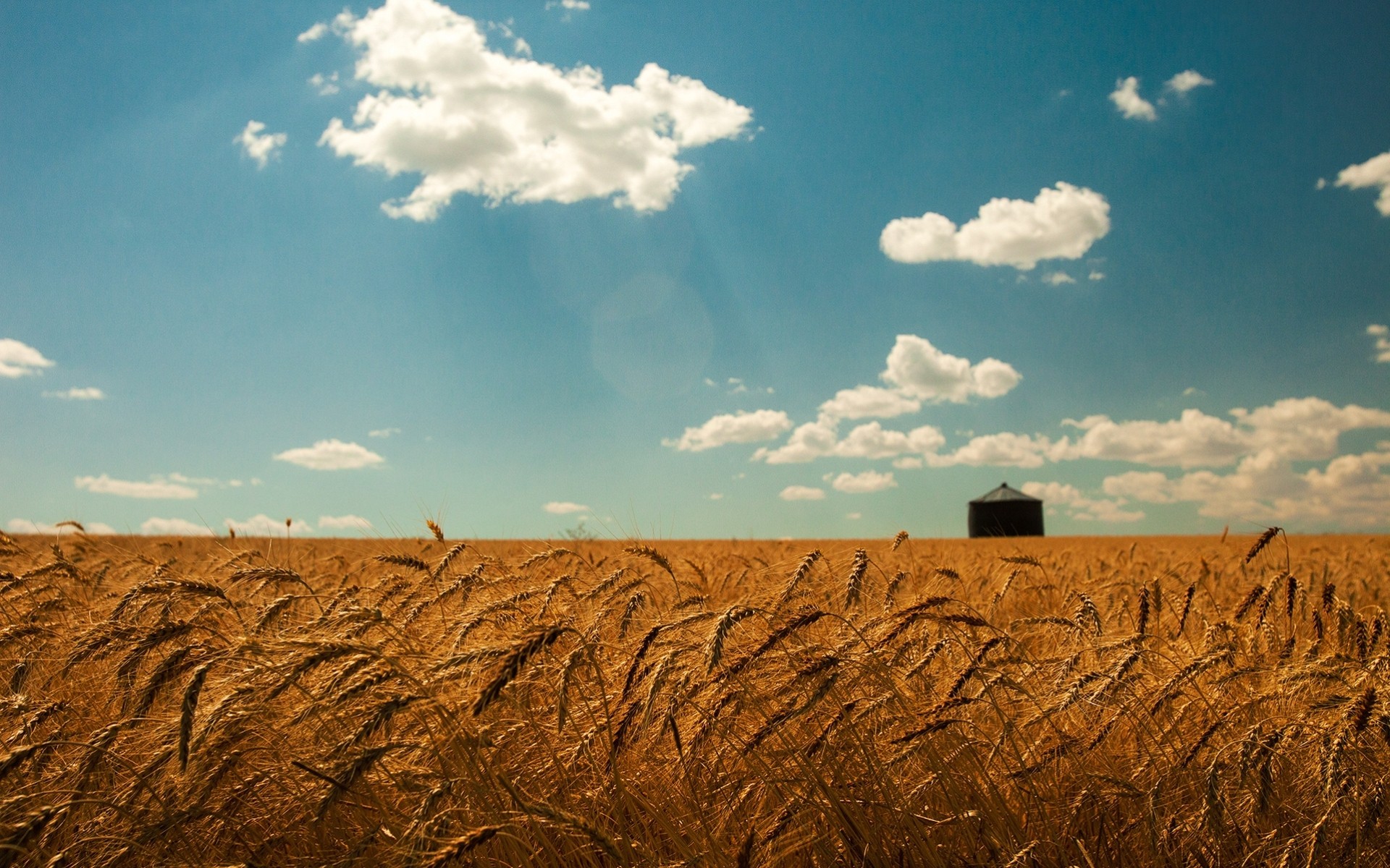 pikes clouds wheat summer sky the field gold