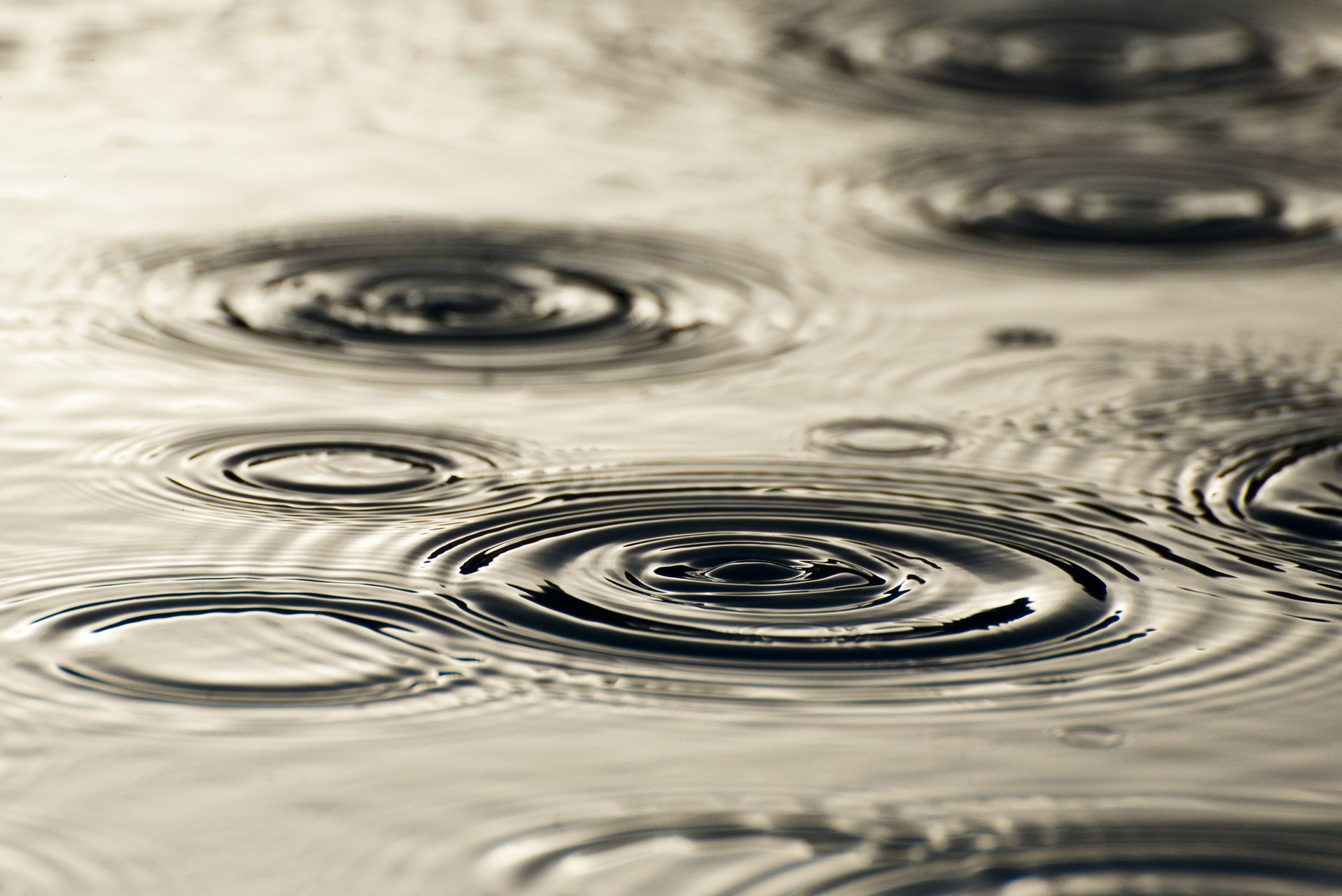 pluie cercles divorces eau gouttes