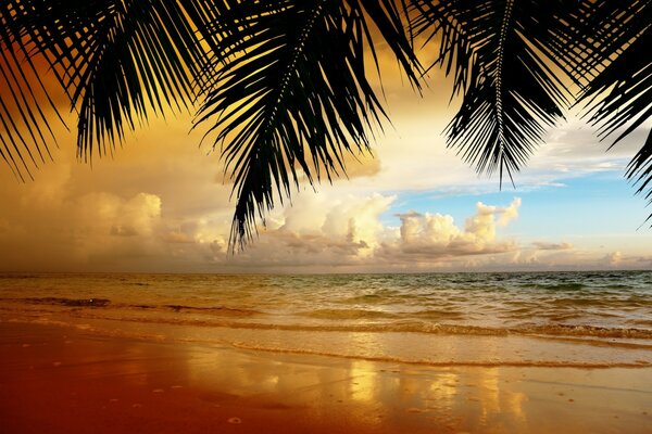 Hermosa puesta de sol en la playa de arena dorada