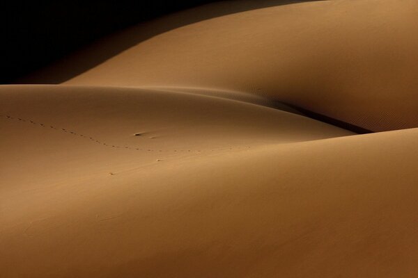 Velvet sand dunes in the desert