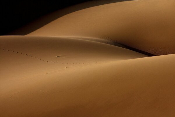 Barchan di sabbia di Barchan nel deserto