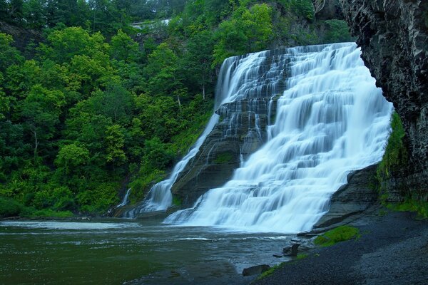 Cascata in mezzo alla foresta