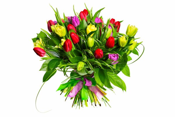 Bouquet of tulips. Unopened buds