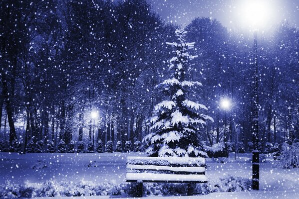 Árbol de Navidad cubierto de nieve en el parque de invierno